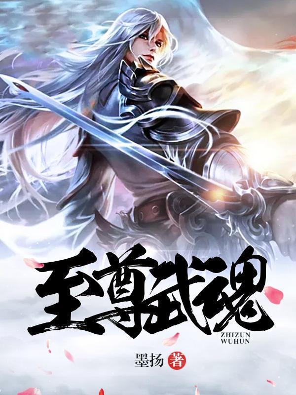 至尊武魂叶尘境界