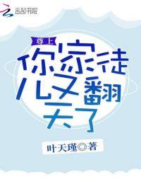 尊上你要点脸免费阅读